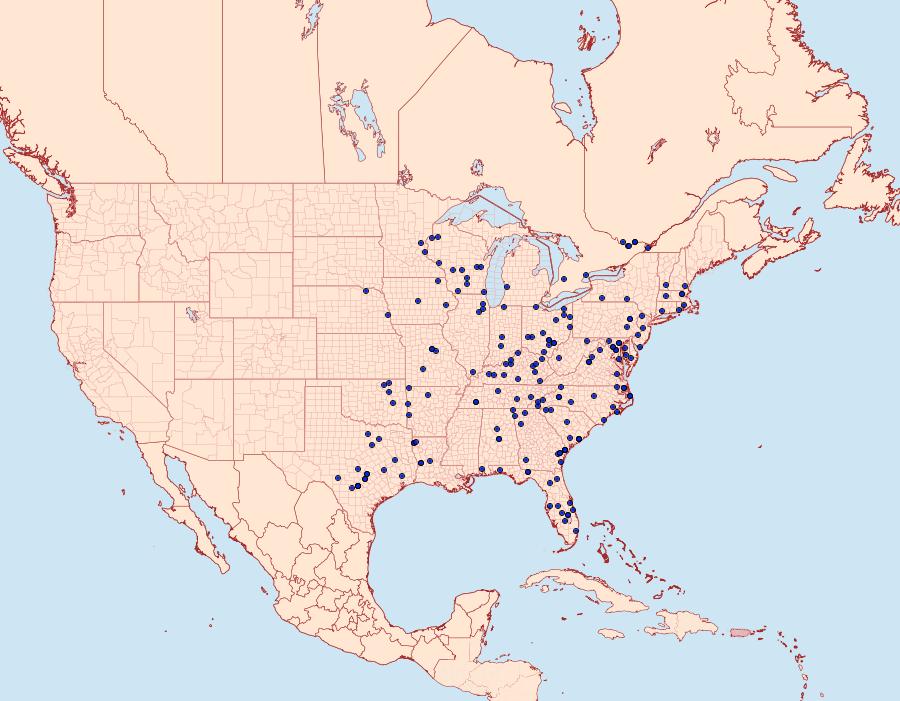 Distribution Data for Psaphida resumens