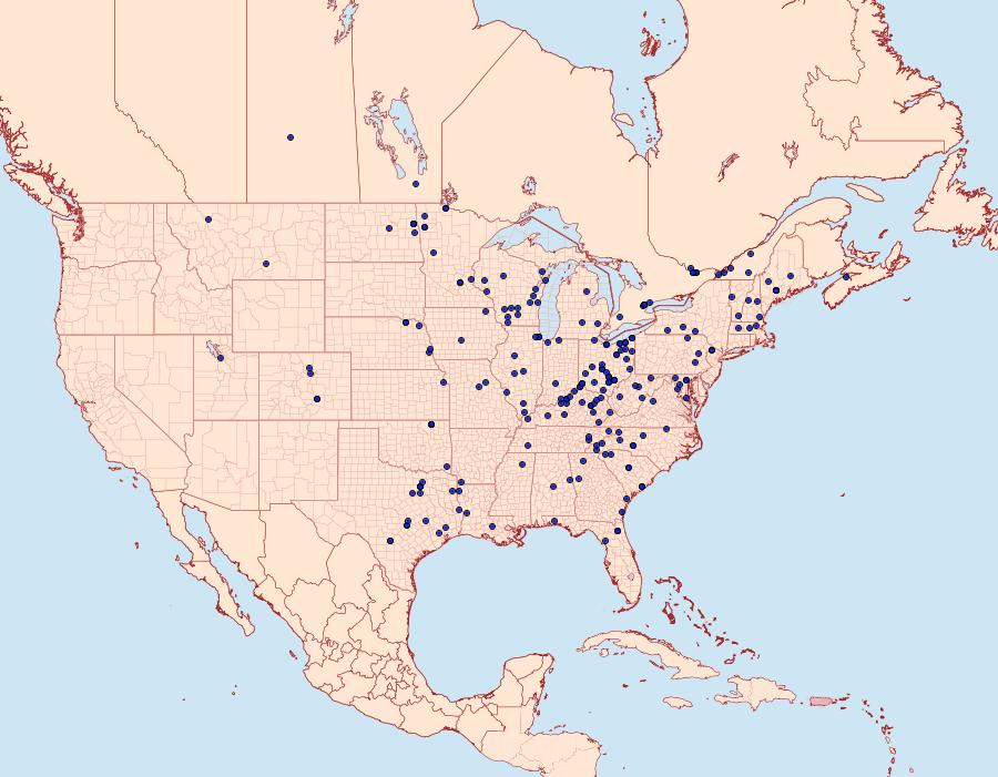 Distribution Data for Copivaleria grotei