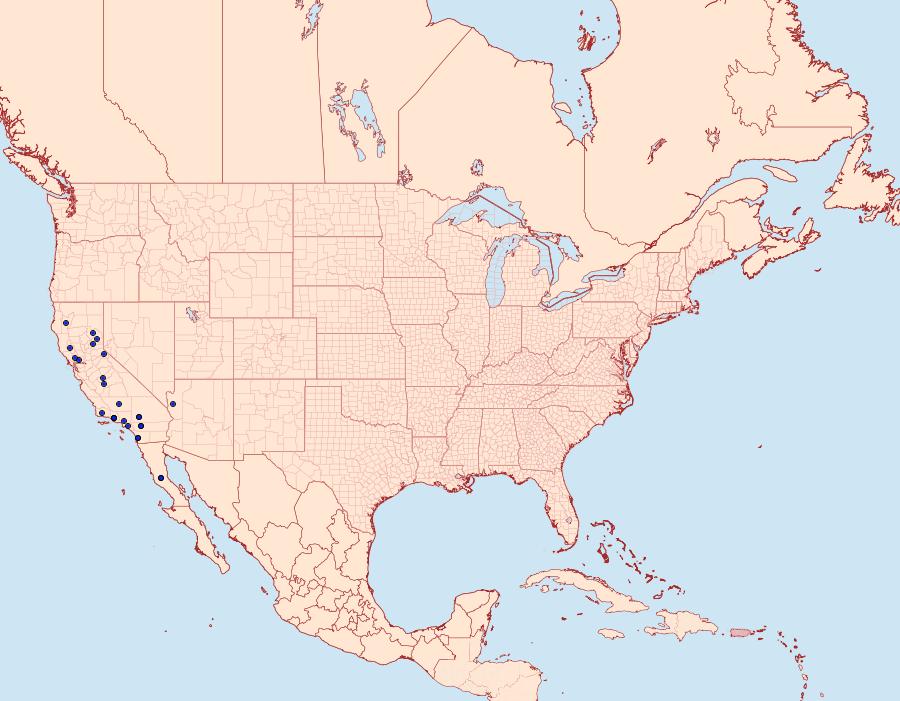 Distribution Data for Catabena sagittata