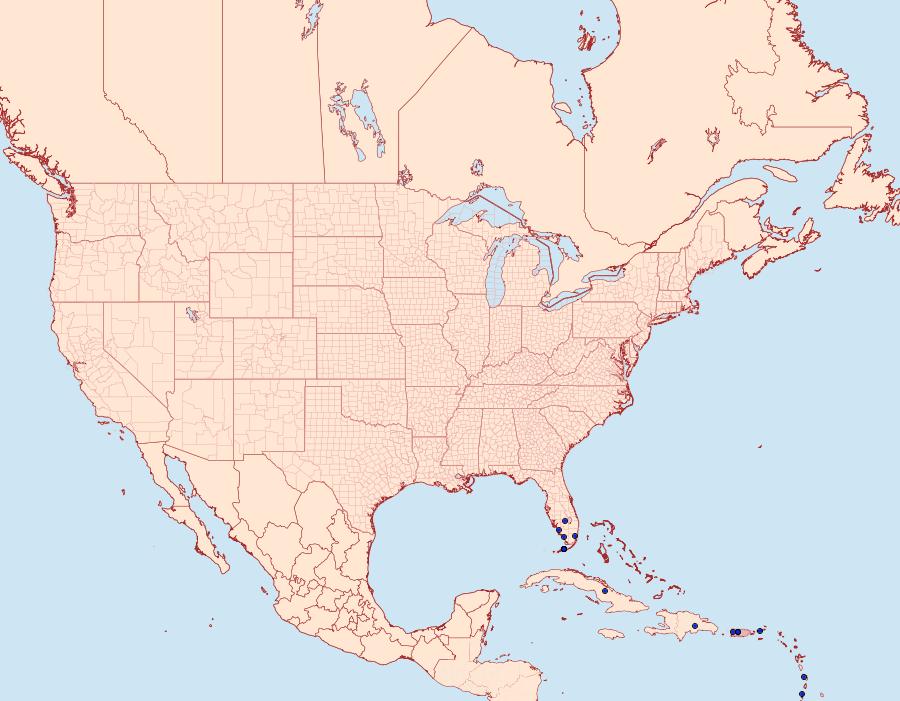 Distribution Data for Catabenoides vitrina