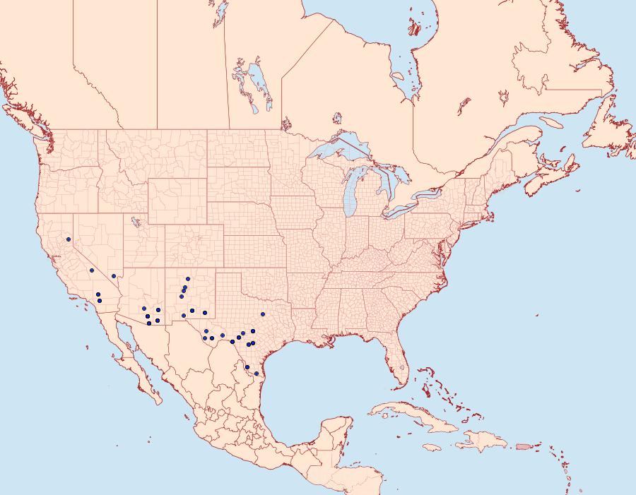 Distribution Data for Catabenoides terminellus