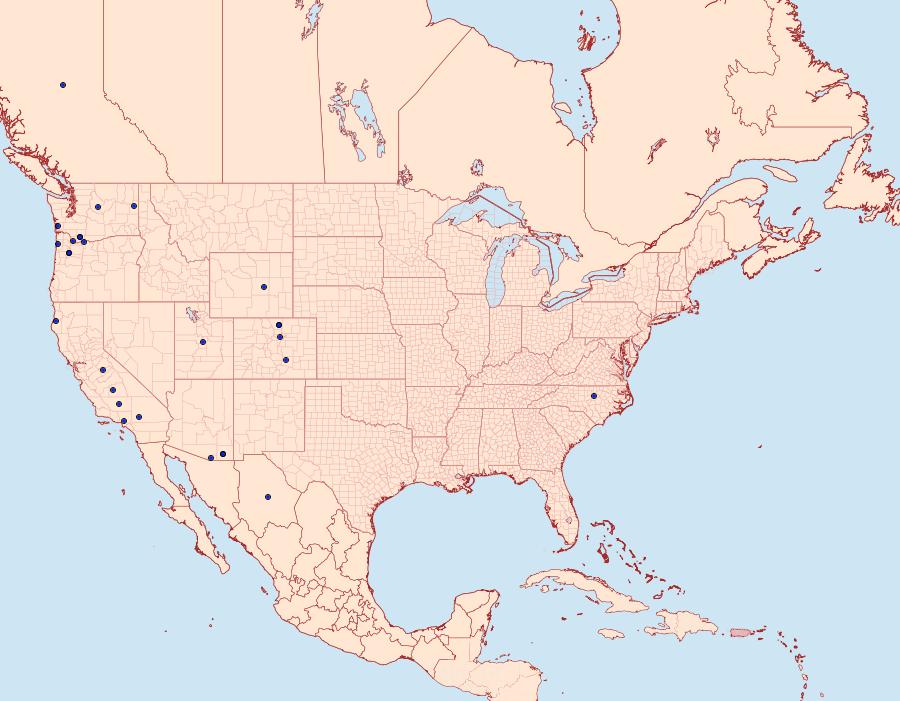 Distribution Data for Ethmia marmorea