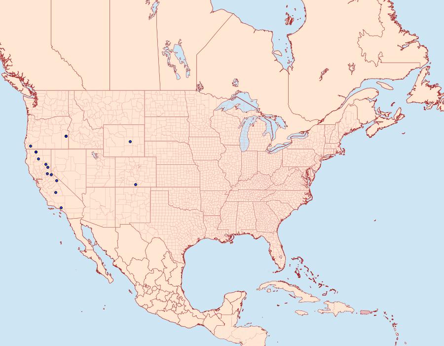 Distribution Data for Sympistis orbicularis