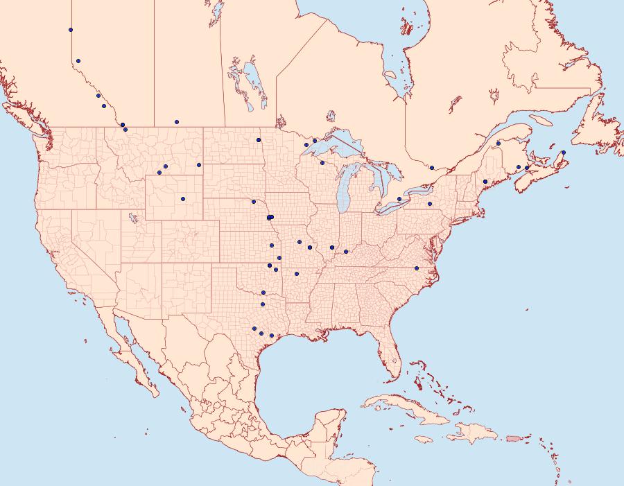 Distribution Data for Sympistis dinalda