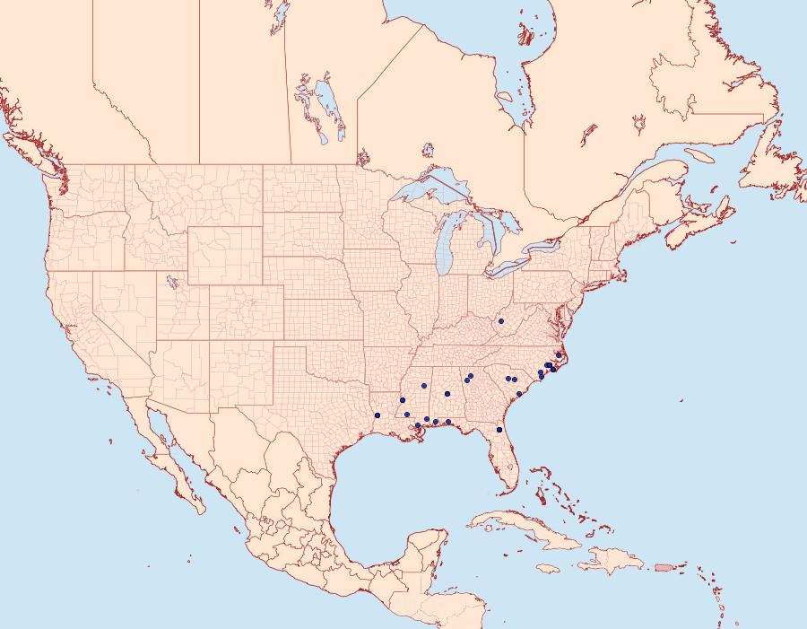 Distribution Data for Pseuderotis obiterella