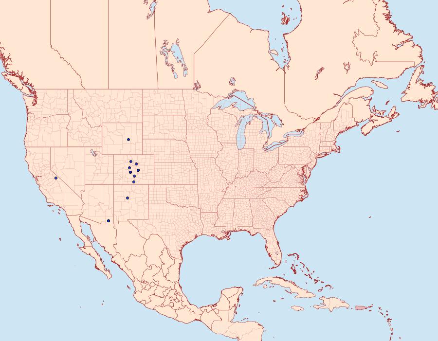 Distribution Data for Sympistis arizonensis