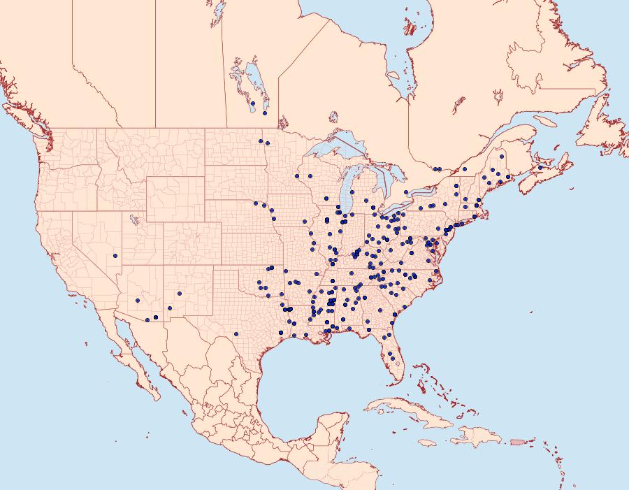 Distribution Data for Antaeotricha schlaegeri