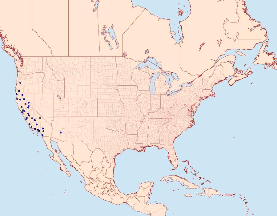 Distribution Data for Sympistis ragani