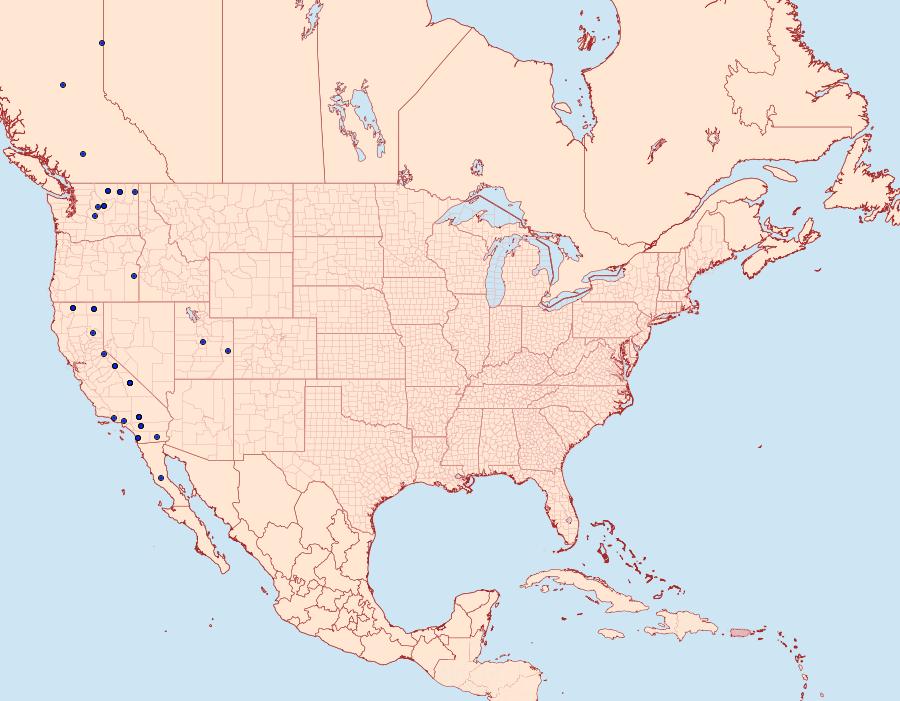 Distribution Data for Sympistis major