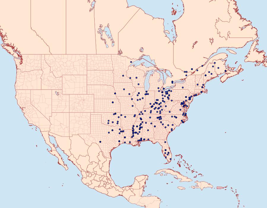 Distribution Data for Antaeotricha leucillana