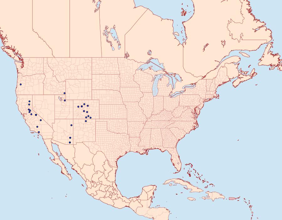 Distribution Data for Sympistis chandleri