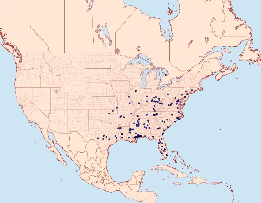 Distribution Data for Antaeotricha humilis