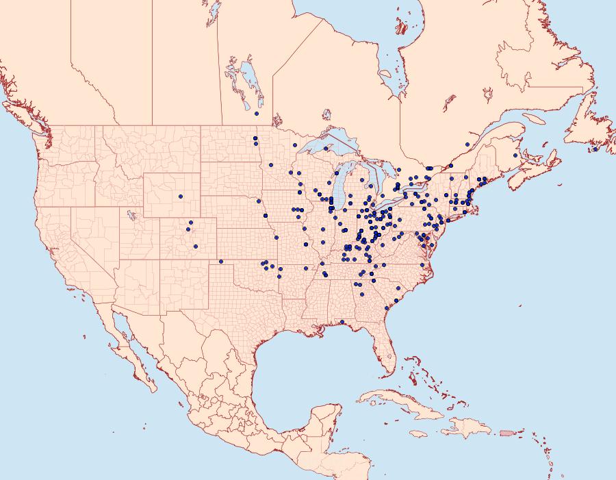 Distribution Data for Cucullia asteroides