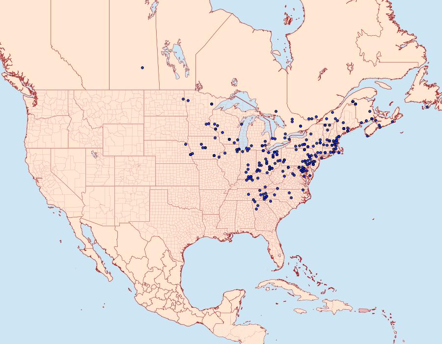 Distribution Data for Cucullia convexipennis