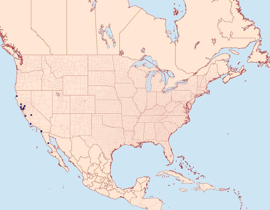 Distribution Data for Anarta chartaria