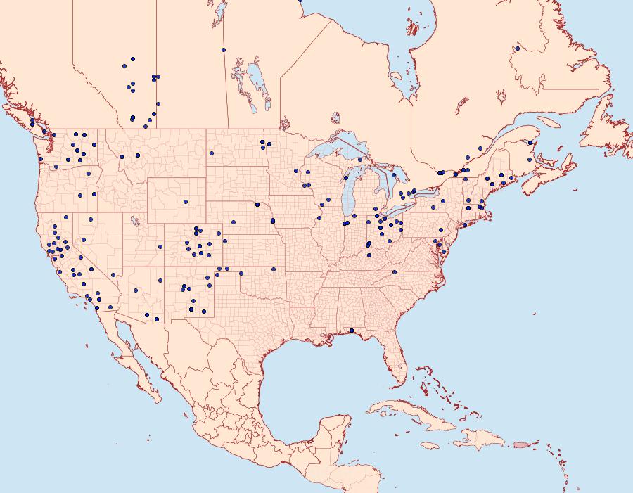 Distribution Data for Anarta trifolii