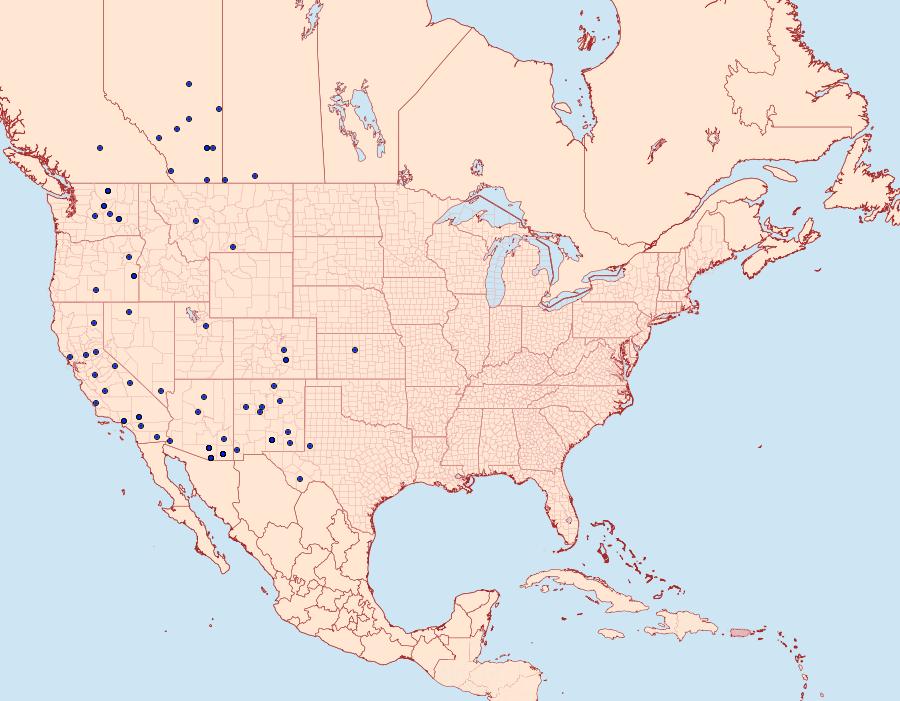 Distribution Data for Anarta mutata