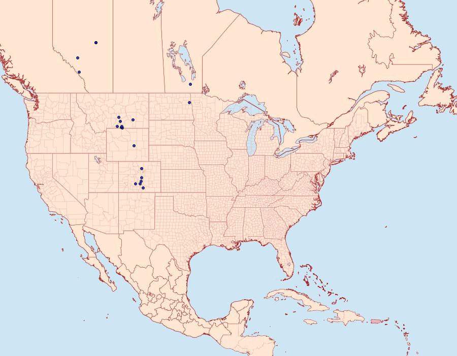 Distribution Data for Anarta obesula