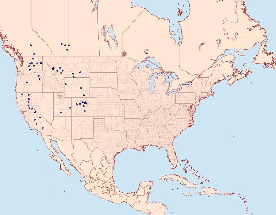 Distribution Data for Anarta crotchii