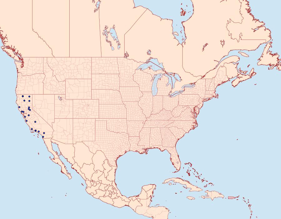 Distribution Data for Antaeotricha manzanitae