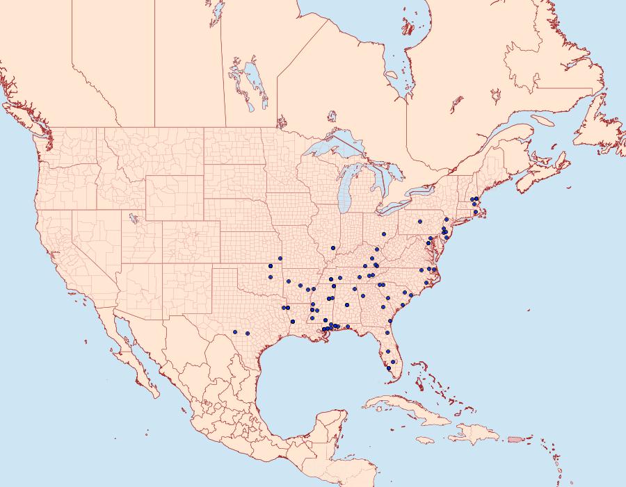 Distribution Data for Rectiostoma xanthobasis