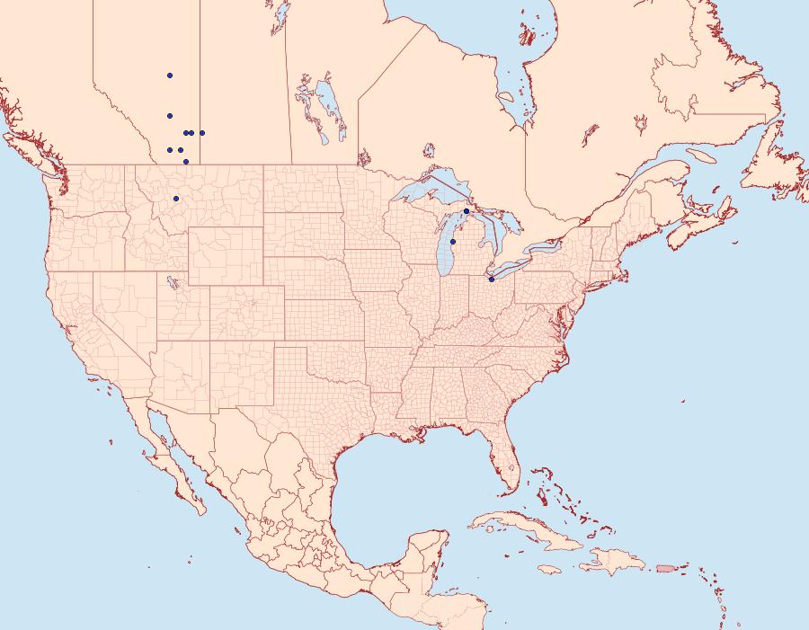 Distribution Data for Sideridis artesta