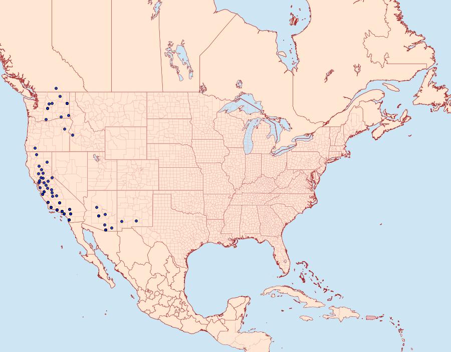 Distribution Data for Admetovis similaris