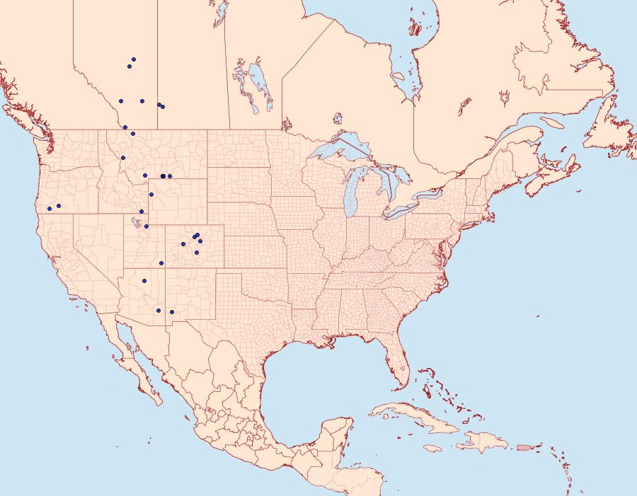 Distribution Data for Polia discalis