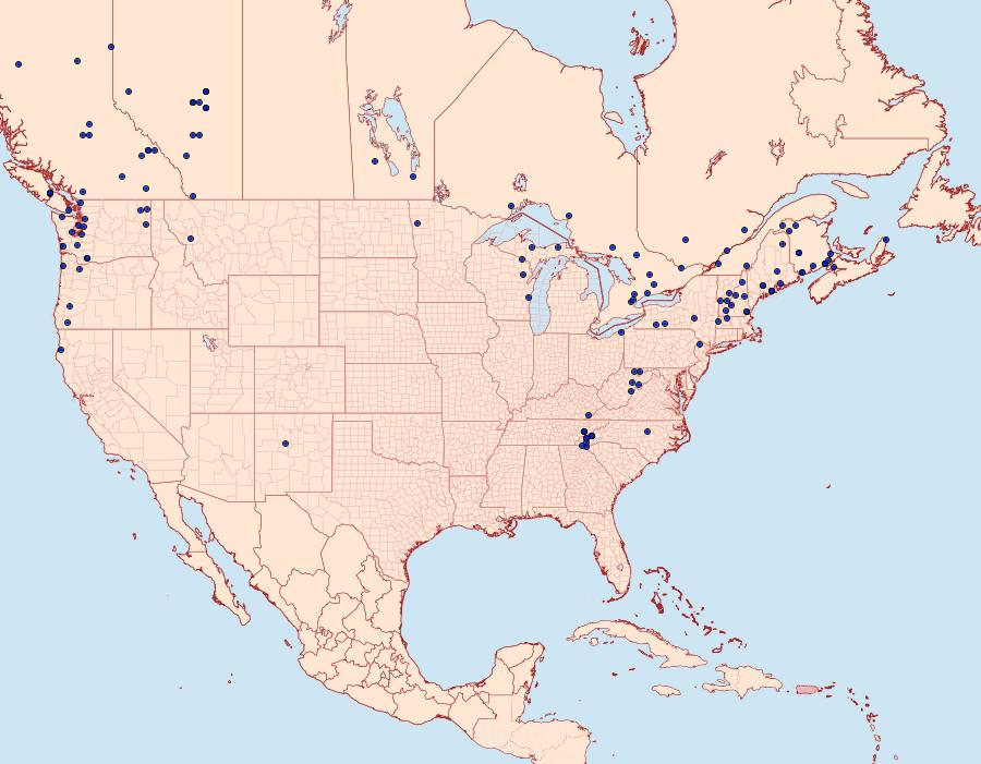 Distribution Data for Polia nimbosa