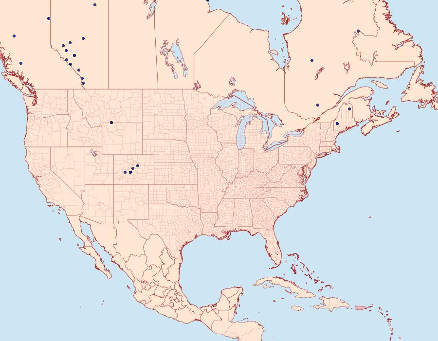 Distribution Data for Polia rogenhoferi