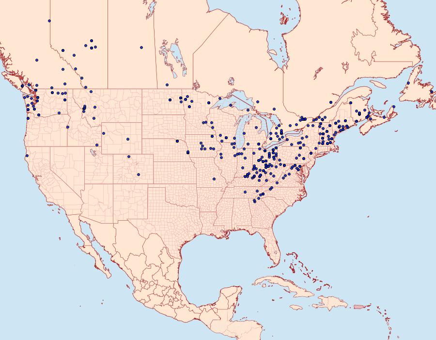 Distribution Data for Melanchra adjuncta