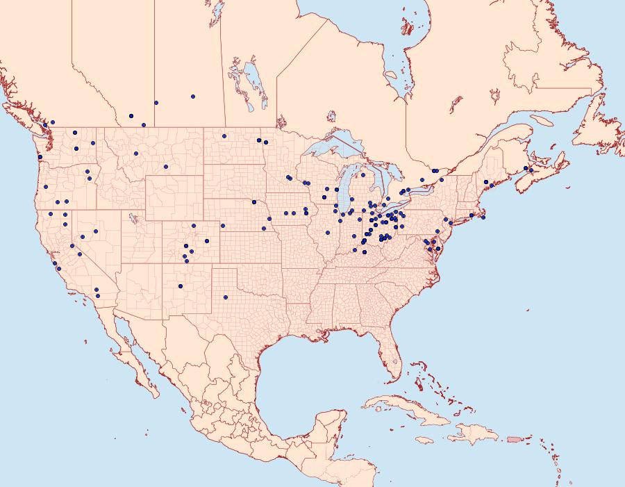 Distribution Data for Melanchra picta