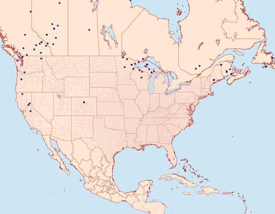 Distribution Data for Melanchra pulverulenta