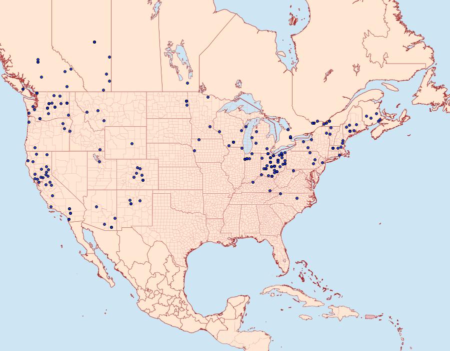 Distribution Data for Lacanobia subjuncta