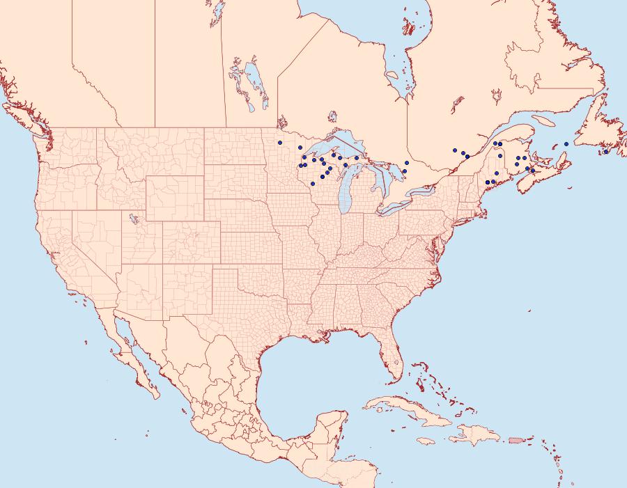 Distribution Data for Trichordestra rugosa