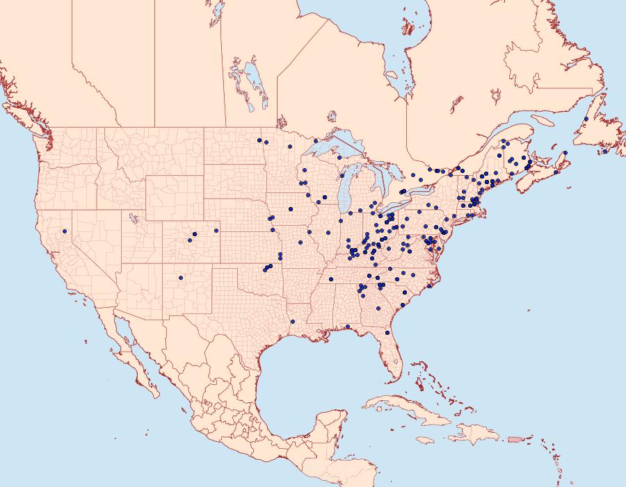 Distribution Data for Trichordestra legitima