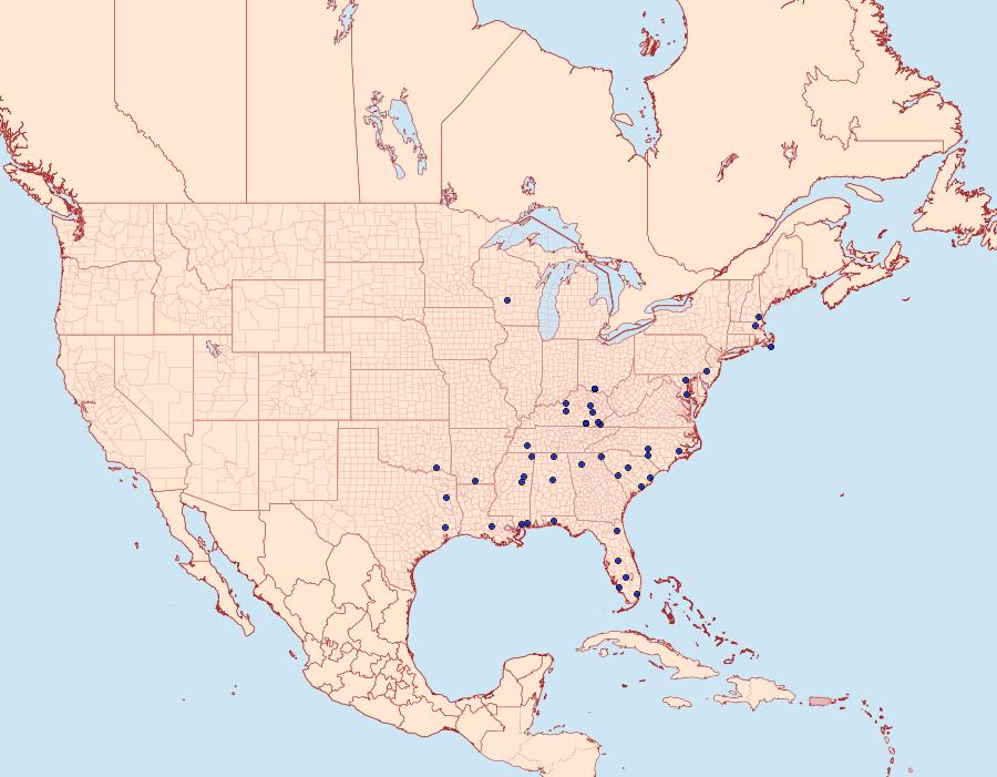 Distribution Data for Menesta melanella