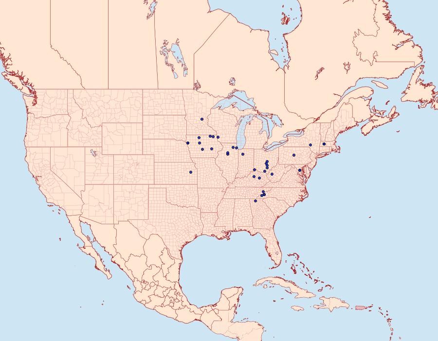 Distribution Data for Hadena ectypa