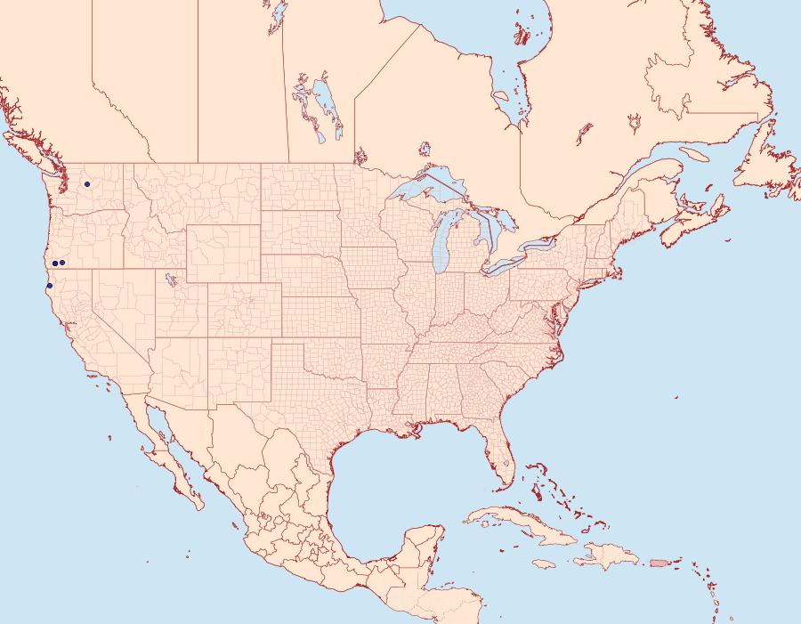 Distribution Data for Hadena siskiyou