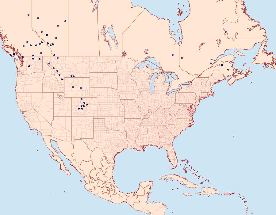 Distribution Data for Hada sutrina