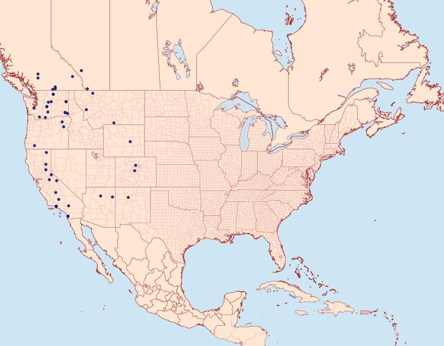 Distribution Data for Hadena variolata