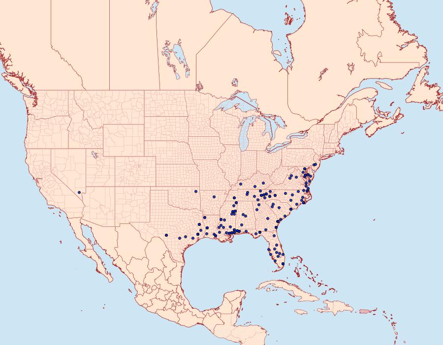 Distribution Data for Inga sparsiciliella