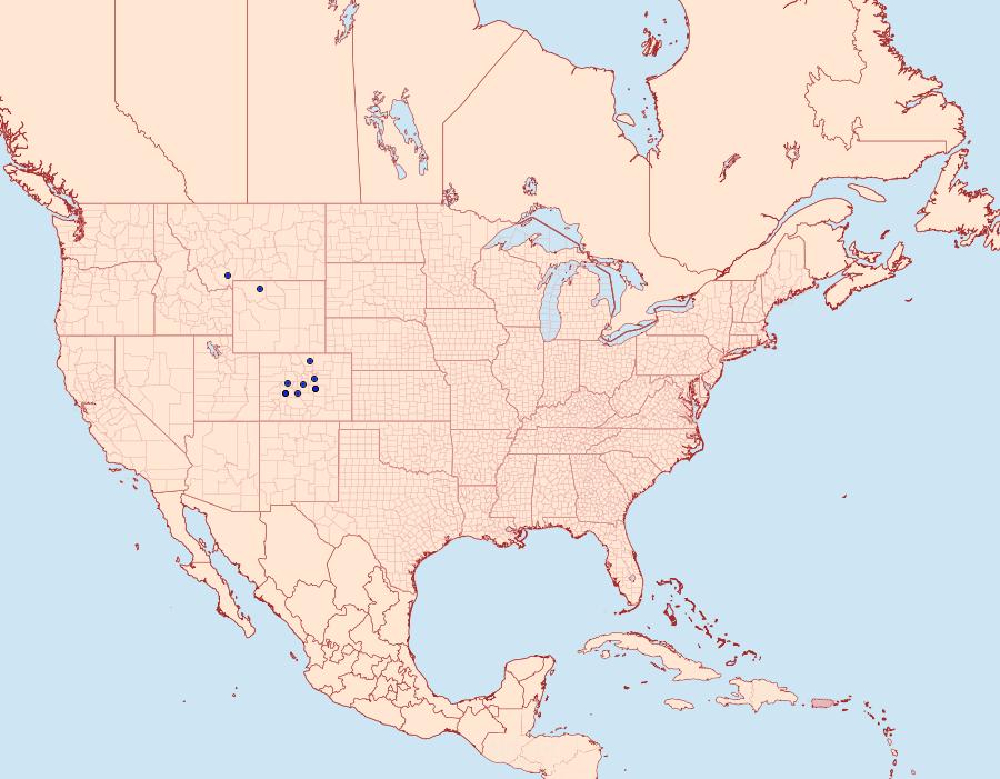 Distribution Data for Lasionycta discolor