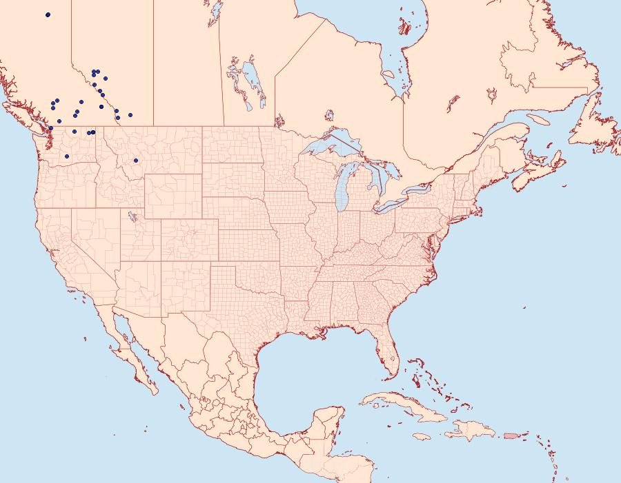 Distribution Data for Lasionycta fergusoni