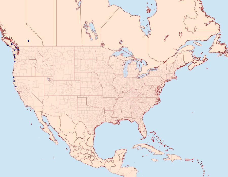 Distribution Data for Psammopolia wyatti