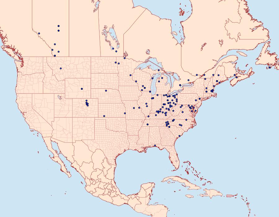 Distribution Data for Lacinipolia meditata