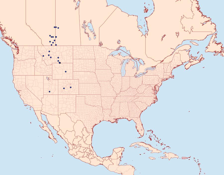 Distribution Data for Lacinipolia longiclava