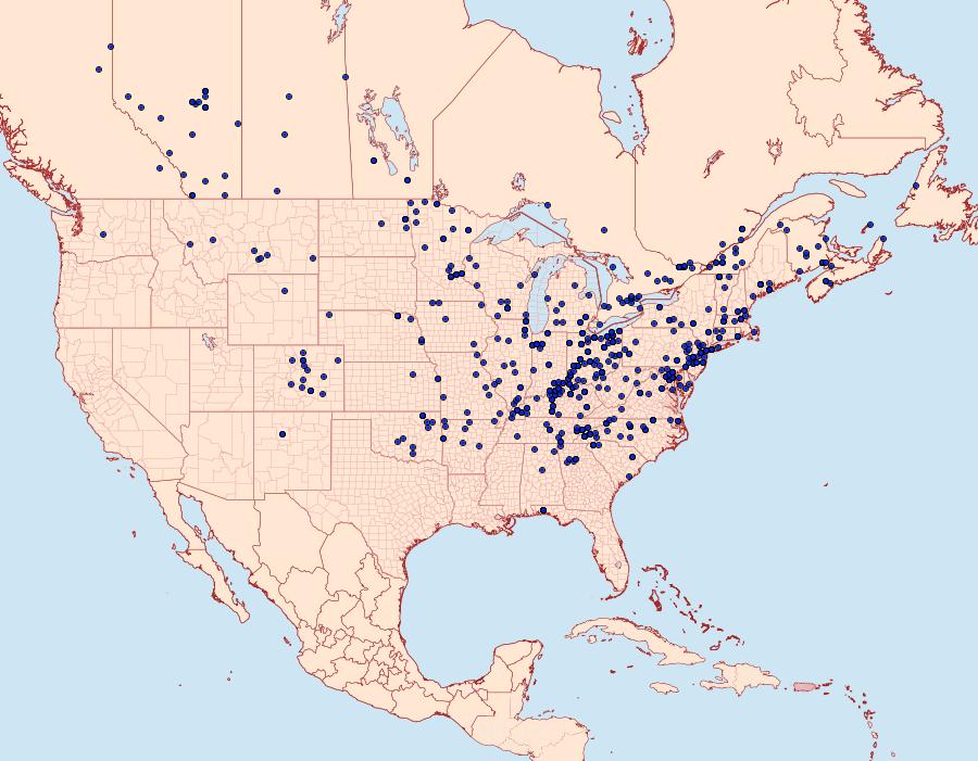 Distribution Data for Lacinipolia renigera