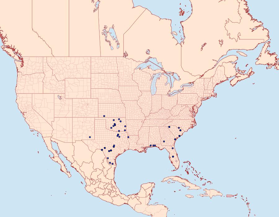 Distribution Data for Lacinipolia erecta