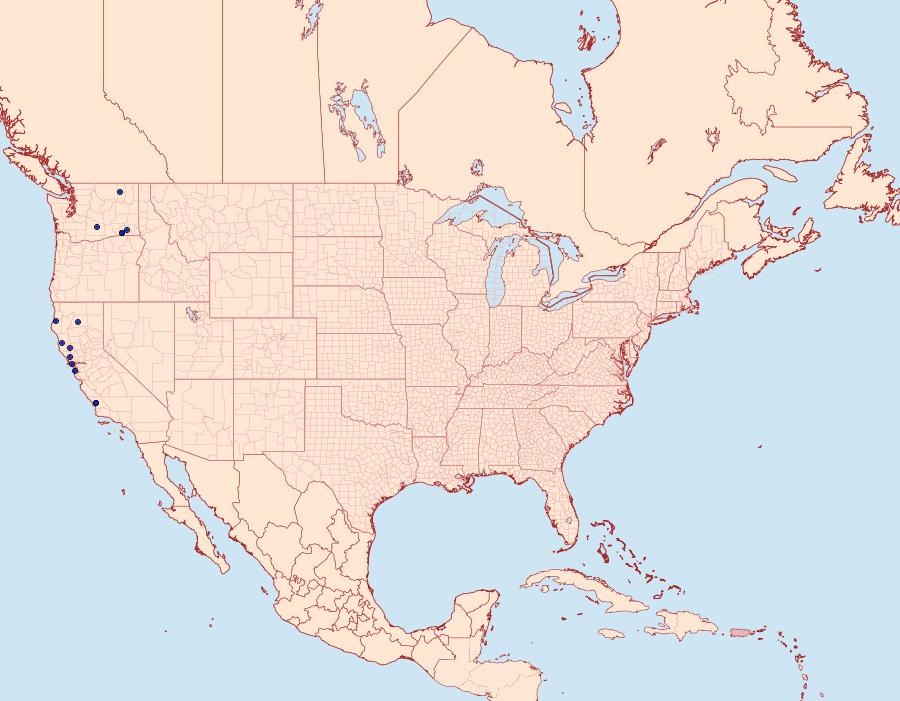 Distribution Data for Lacinipolia rectilinea